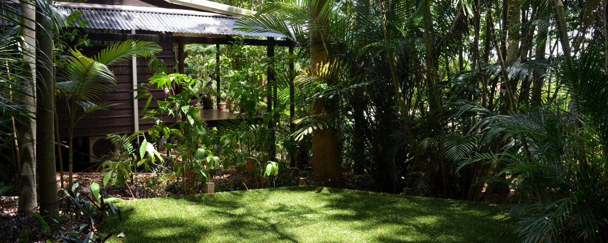The rainforest garden behind Julie Heskin's reiki studio in Cairns