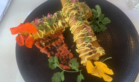 raw vegan foods prepared by Julie Heskins