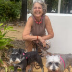 julie heskins from Cairns pet sitting some dogs and doing pet reiki