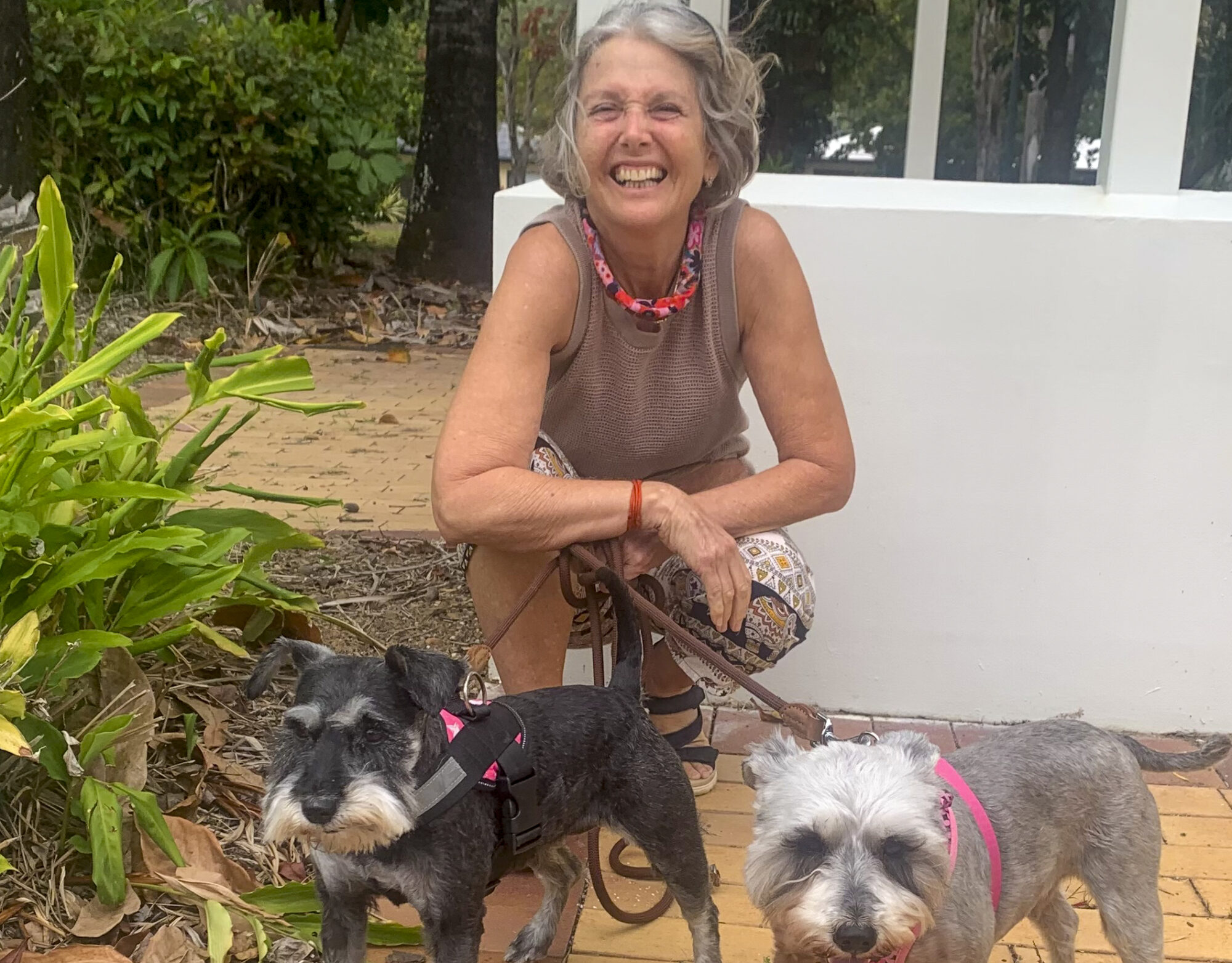 julie heskins from Cairns pet sitting some dogs and doing pet reiki